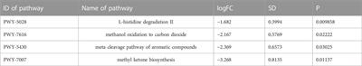 Effects of the Radix Ginseng and Semen Ziziphi Spinosae drug pair on the GLU/GABA-GLN metabolic cycle and the intestinal microflora of insomniac rats based on the brain–gut axis